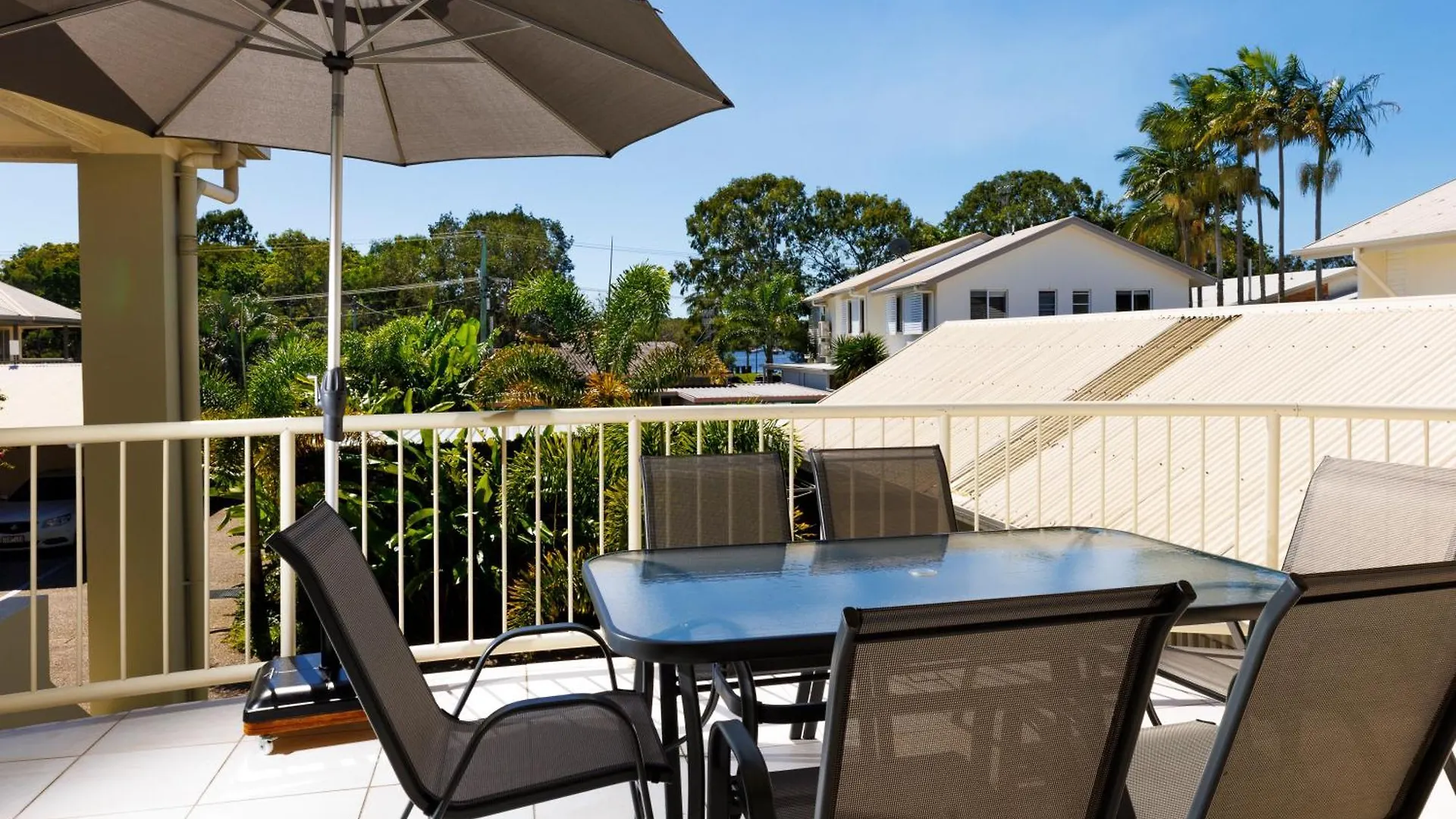 Noosa River Palms Noosaville Australia